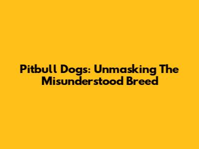 Pitbull Dogs: Unmasking The Misunderstood Breed