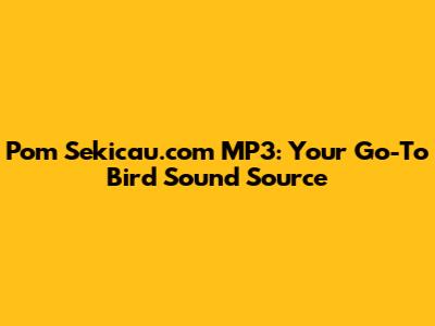 Pom Sekicau.com MP3: Your Go-To Bird Sound Source