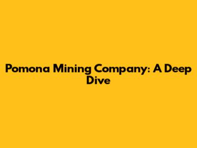 Pomona Mining Company: A Deep Dive