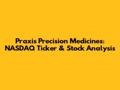 Praxis Precision Medicines: NASDAQ Ticker & Stock Analysis