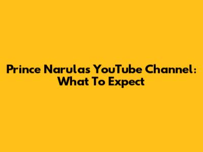 Prince Narula's YouTube Channel: What To Expect