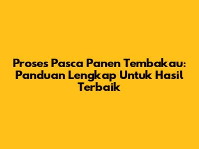 Proses Pasca Panen Tembakau: Panduan Lengkap Untuk Hasil Terbaik