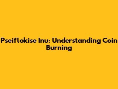 Pseiflokise Inu: Understanding Coin Burning