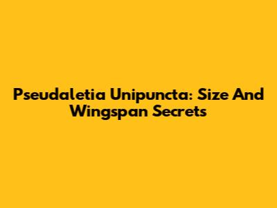 Pseudaletia Unipuncta: Size And Wingspan Secrets