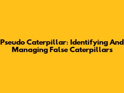 Pseudo Caterpillar: Identifying And Managing False Caterpillars