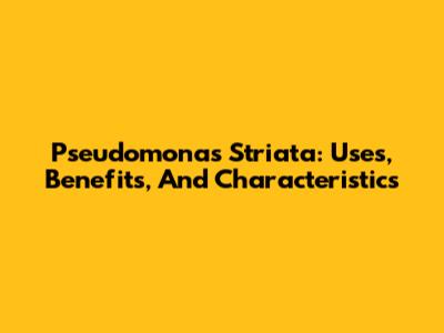 Pseudomonas Striata: Uses, Benefits, And Characteristics