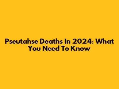 Pseutahse Deaths In 2024: What You Need To Know