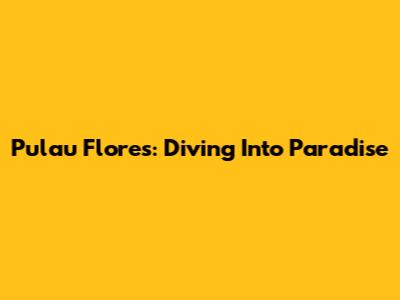 Pulau Flores: Diving Into Paradise