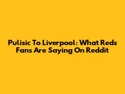 Pulisic To Liverpool: What Reds Fans Are Saying On Reddit