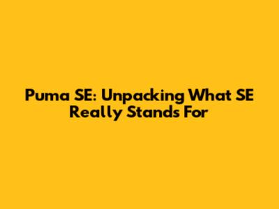 Puma SE: Unpacking What 'SE' Really Stands For