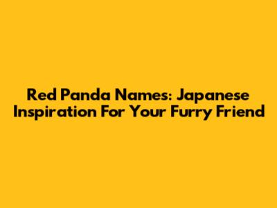 Red Panda Names: Japanese Inspiration For Your Furry Friend
