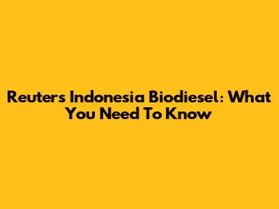 Reuters Indonesia Biodiesel: What You Need To Know