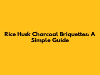 Rice Husk Charcoal Briquettes: A Simple Guide