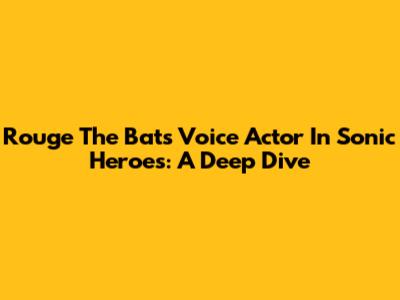 Rouge The Bat's Voice Actor In Sonic Heroes: A Deep Dive