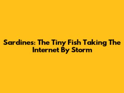 Sardines: The Tiny Fish Taking The Internet By Storm