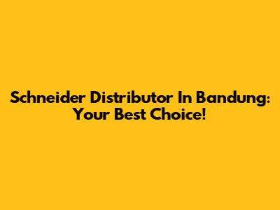 Schneider Distributor In Bandung: Your Best Choice!