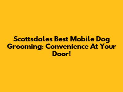 Scottsdale's Best Mobile Dog Grooming: Convenience At Your Door!
