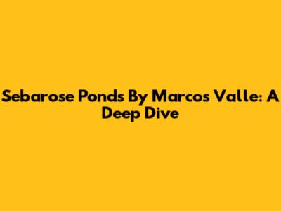 Sebarose Ponds By Marcos Valle: A Deep Dive