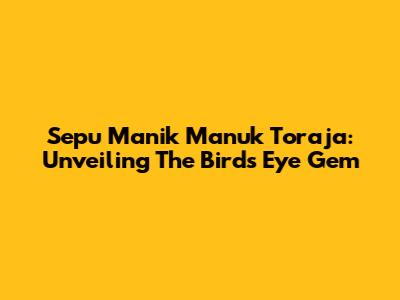 Sepu Manik Manuk Toraja: Unveiling The Bird's Eye Gem