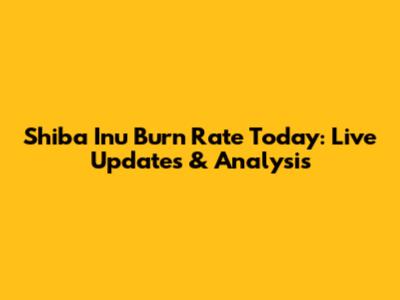 Shiba Inu Burn Rate Today: Live Updates & Analysis