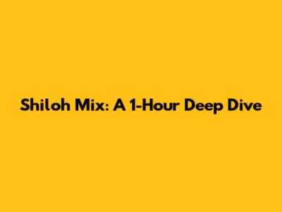 Shiloh Mix: A 1-Hour Deep Dive