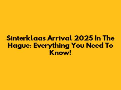 Sinterklaas' Arrival 2025 In The Hague: Everything You Need To Know!