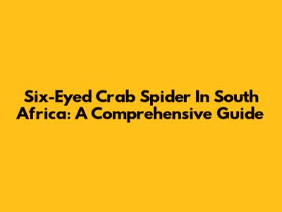 Six-Eyed Crab Spider In South Africa: A Comprehensive Guide