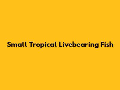 Small Tropical Livebearing Fish