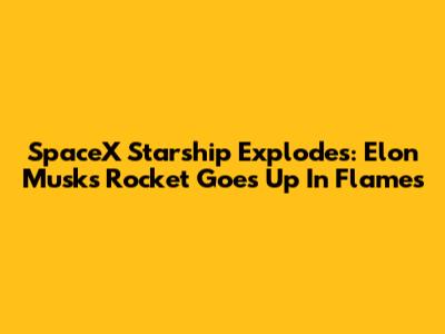 SpaceX Starship Explodes: Elon Musk's Rocket Goes Up In Flames