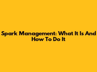 Spark Management: What It Is And How To Do It
