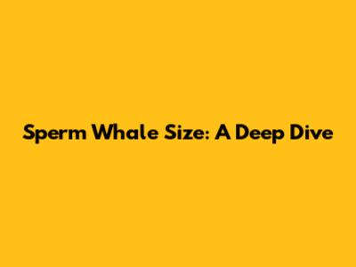 Sperm Whale Size: A Deep Dive