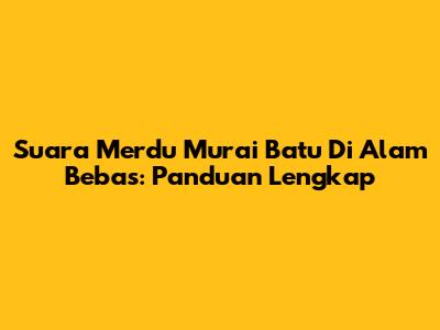 Suara Merdu Murai Batu Di Alam Bebas: Panduan Lengkap
