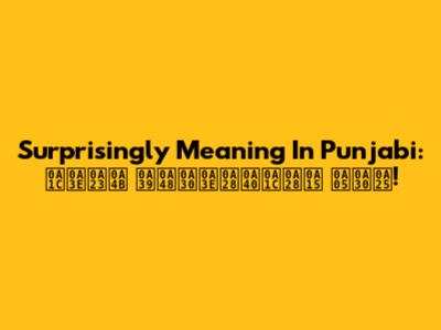 Surprisingly Meaning In Punjabi: ਜਾਣੋ ਹੈਰਾਨੀਜਨਕ ਅਰਥ!