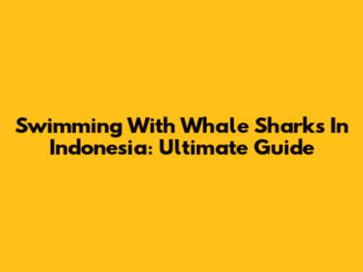 Swimming With Whale Sharks In Indonesia: Ultimate Guide