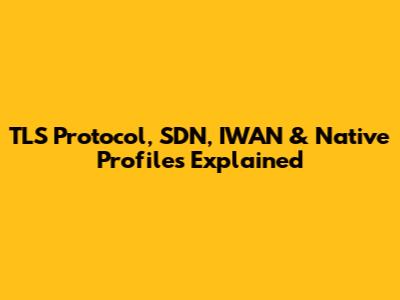 TLS Protocol, SDN, IWAN & Native Profiles Explained