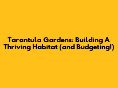 Tarantula Gardens: Building A Thriving Habitat (and Budgeting!)