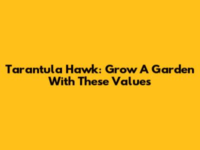 Tarantula Hawk: Grow A Garden With These Values
