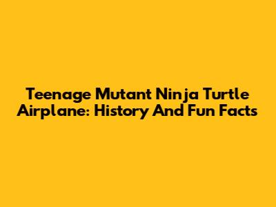 Teenage Mutant Ninja Turtle Airplane: History And Fun Facts