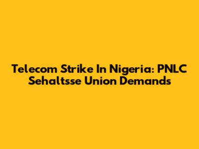 Telecom Strike In Nigeria: PNLC Sehaltsse Union Demands