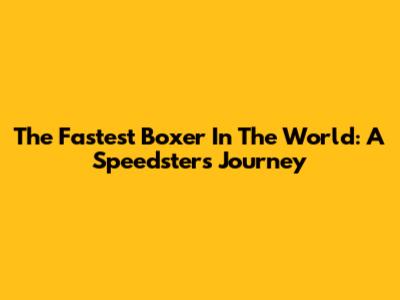 The Fastest Boxer In The World: A Speedster's Journey