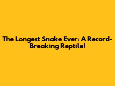 The Longest Snake Ever: A Record-Breaking Reptile!