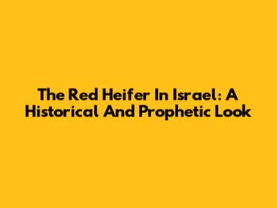 The Red Heifer In Israel: A Historical And Prophetic Look