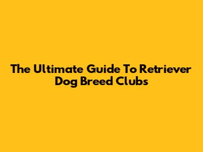 The Ultimate Guide To Retriever Dog Breed Clubs