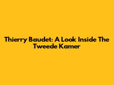 Thierry Baudet: A Look Inside The Tweede Kamer