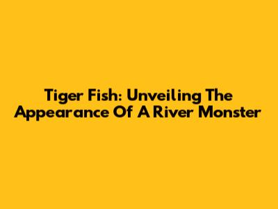 Tiger Fish: Unveiling The Appearance Of A River Monster