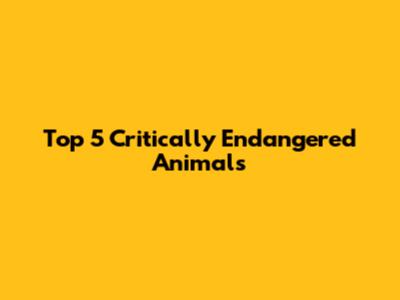 Top 5 Critically Endangered Animals