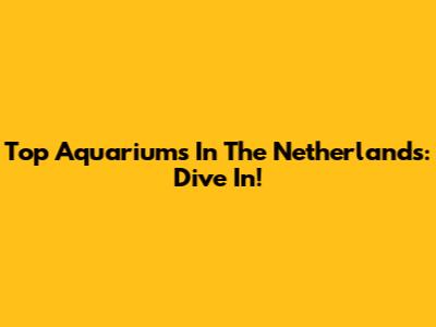 Top Aquariums In The Netherlands: Dive In!