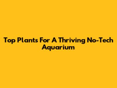 Top Plants For A Thriving No-Tech Aquarium