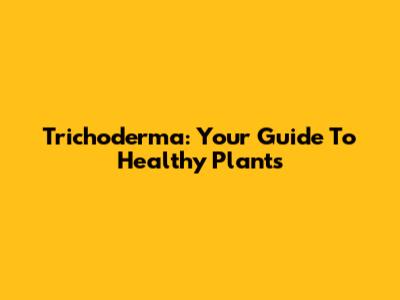 Trichoderma: Your Guide To Healthy Plants