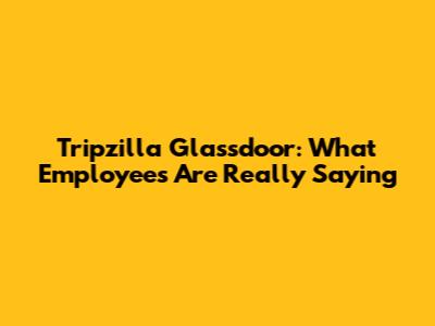 Tripzilla Glassdoor: What Employees Are Really Saying